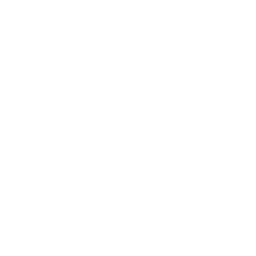 Blockchain Consulting